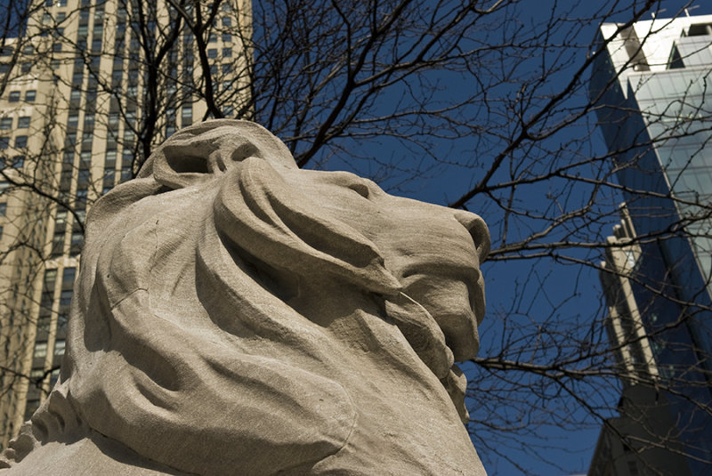 NY Public Library