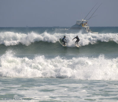 Florida Surfing