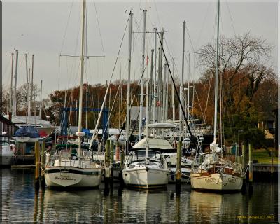 docked on the Patchogue river