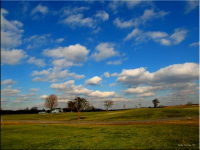 Timber Point Golf Course