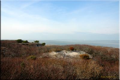 Barrett Beach looking  northwest