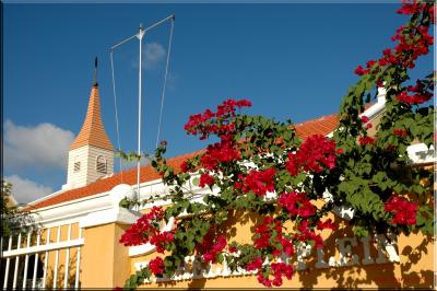 g3/65/575665/3/55115115.ColorsofBonaire.jpg