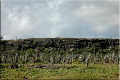 g3/65/575665/3/55190755.NationalParkBonaire.jpg