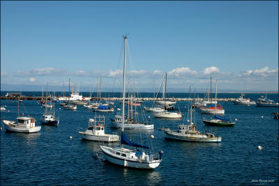 Monterey Bay California