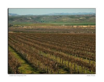 g3/65/575665/3/56563844.CaliforniaVineyards2006.jpg