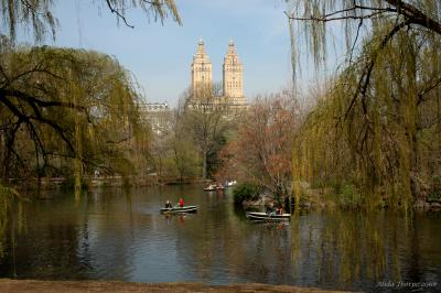 rowboats in Spring