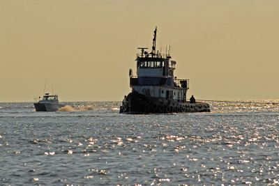 tug returns at sunset