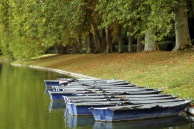 Fontainebleau in autumn