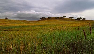 g3/65/596965/3/53927048.ALENTEJO003.jpg