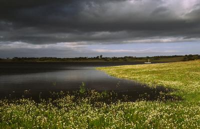 g3/65/596965/3/53927049.ALENTEJO005.jpg