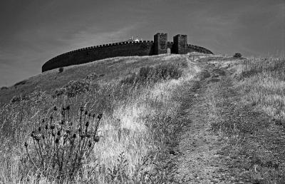 g3/65/596965/3/53927053.ALENTEJO017.jpg