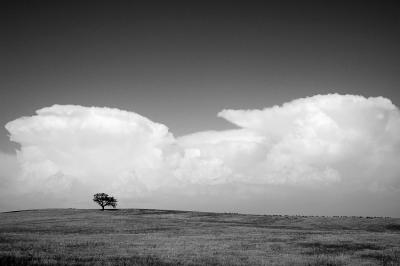 g3/65/596965/3/53927054.ALENTEJO019_PB.jpg