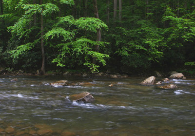 West Virginia Scenic Streams