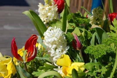 Flowers on Pier 39