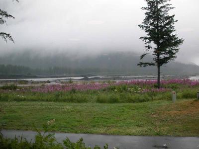 Foggy-at-Seward (view from the Seward Windsong Lodge)