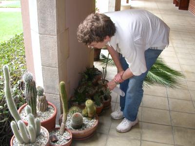 Kohl's cactus garden