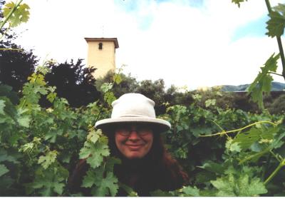 Charles in wine