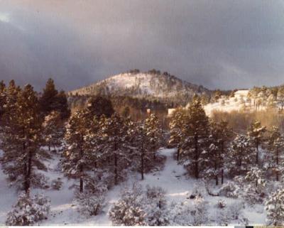 view from Canyon Springs home.jpg