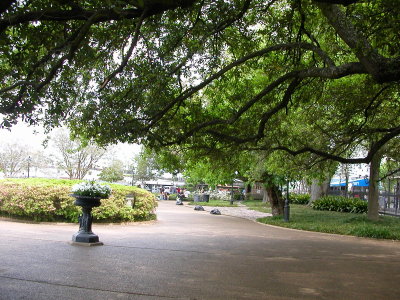 in the park across from St. Louis Cathedral