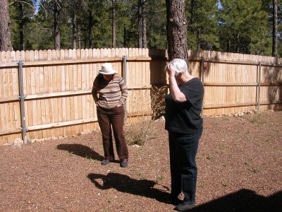 looking at dog cactus