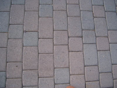 driveway & walkway