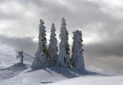 Jahorina 2