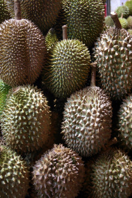 Durian or stinky fruit