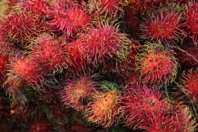 Lychee?