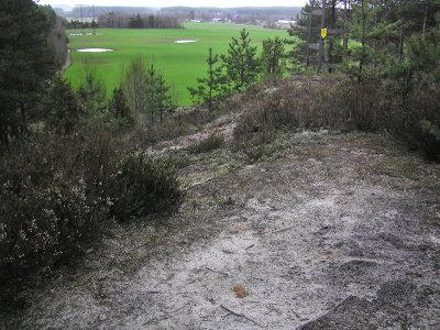 Utsikt frn sanddynen. Med insektsspr