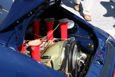 IMG_7985.JPG