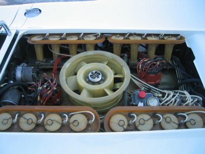 IMG_6663_resize.JPG