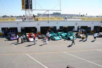 IMG_8249_resize.JPG