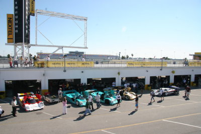 IMG_8253_resize.JPG