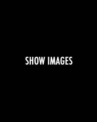 michaels_shows