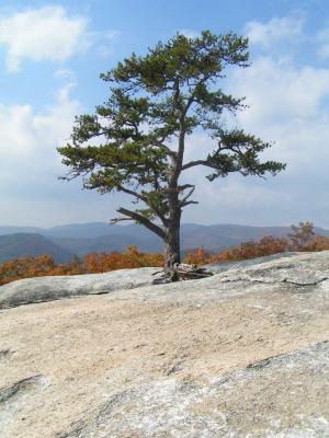 Stone Mountain State Park