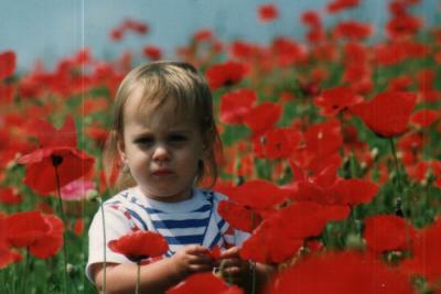 Poppies