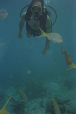 Somewhere near the bottom (St. Thomas, USVI)