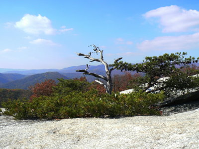 g3/65/628065/3/88767956.C94Mnizq.jpg