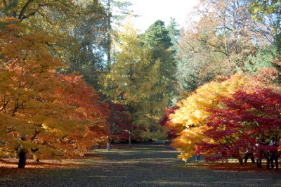 westonbirt 6