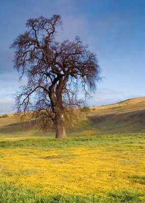 hwy58_3475_web.jpg