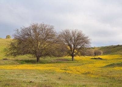 hwy58_3486_web.jpg