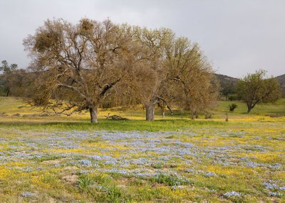hwy58_3492_web.jpg