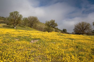 hwy58_3500_web.jpg