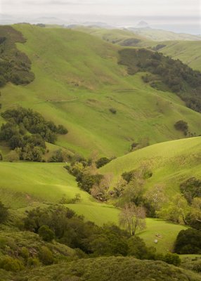 hwy58_3526_web.jpg