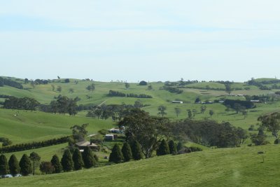 Verdant Countryside