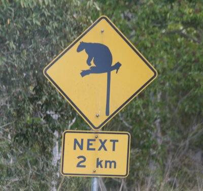 Tree Kangaroo Road Sign