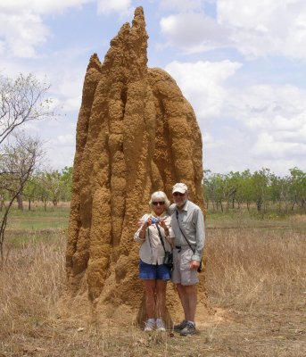Mega Termite Mound