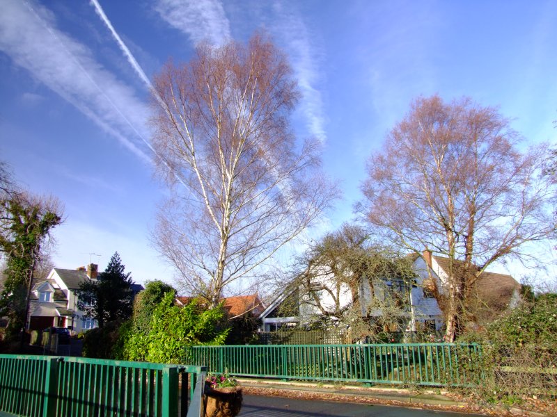 All  contrails  lead  to  Stansted.