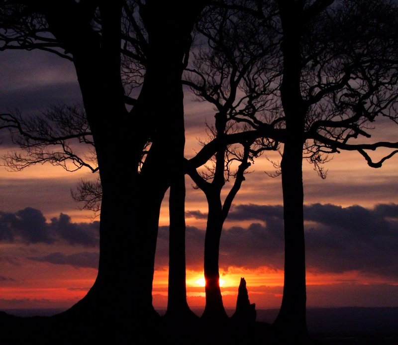 Sunset  from  Olivers  Castle  hillfort / 3