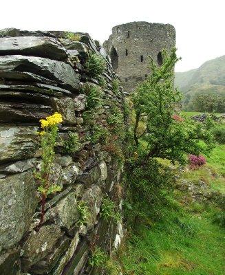 Dolbadarn Castle in heavy rain - 1